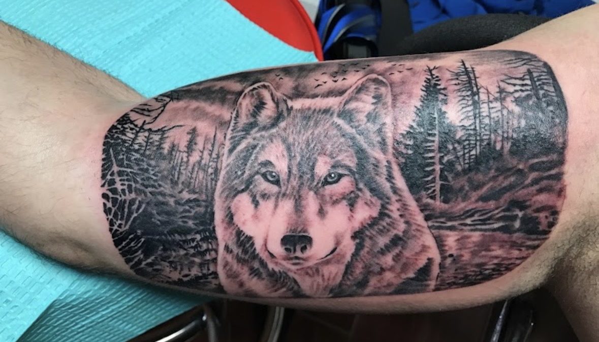 See how realistic shading, natural scenery, and thoughtful composition come together in a detailed black and grey wolf tattoo from Elite Ink.